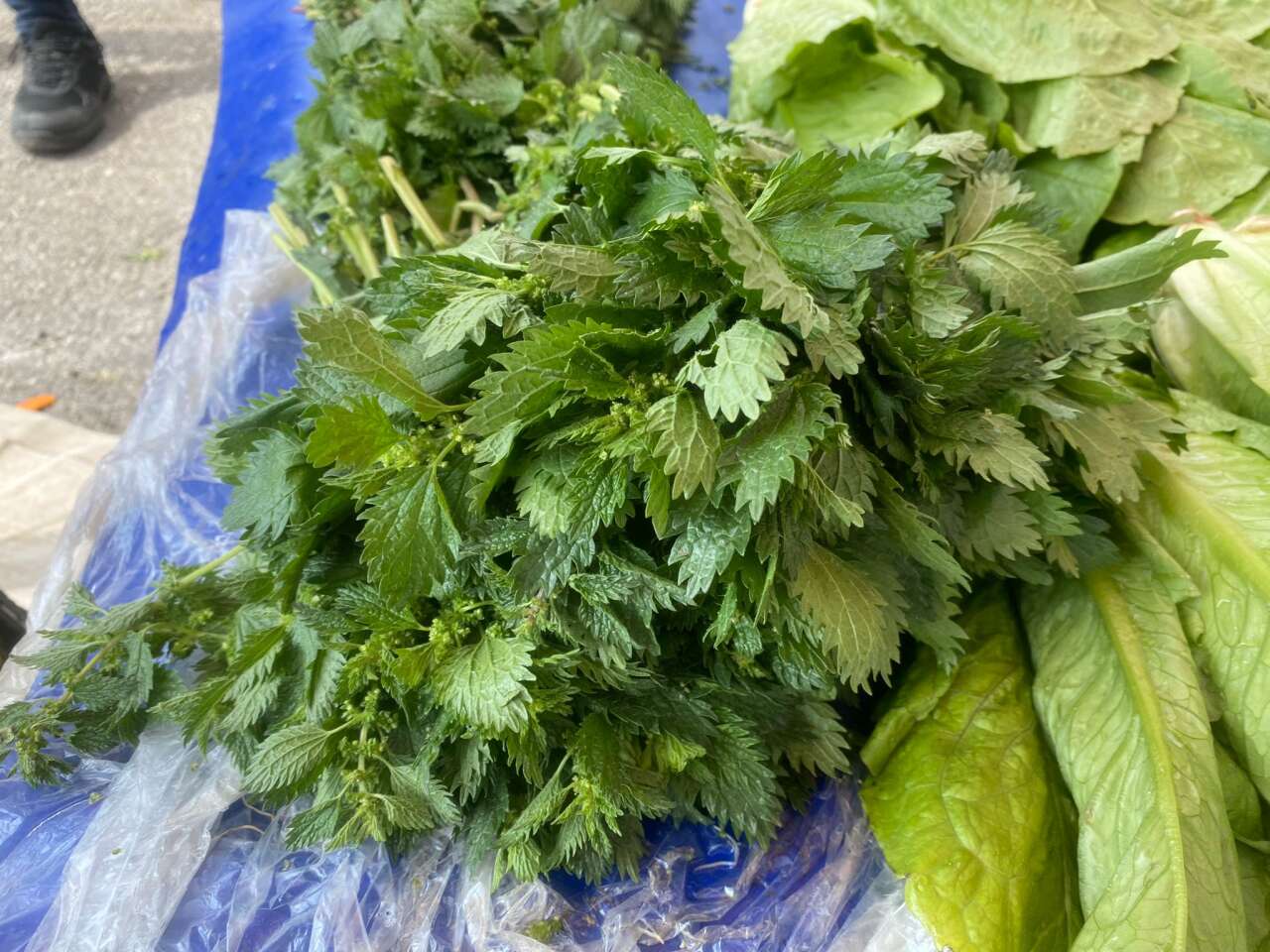 Muğla Pazarlarında “Şifa Tezgâhı”: Baharın Otları Yoğun İlgi Görüyor 4